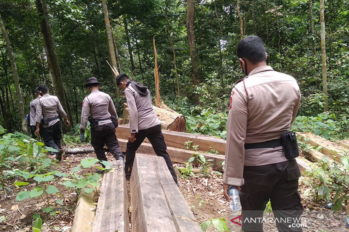 Walhi: Pengawasan lingkungan hidup di Aceh masih lemah