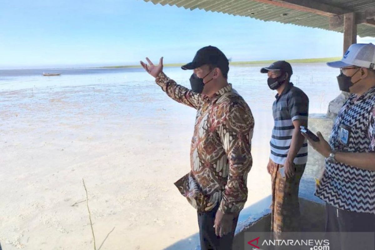 Dangkal dan penuh mangrove, BHS sarankan kawasan bibir Pantai Kenjeran dikeruk