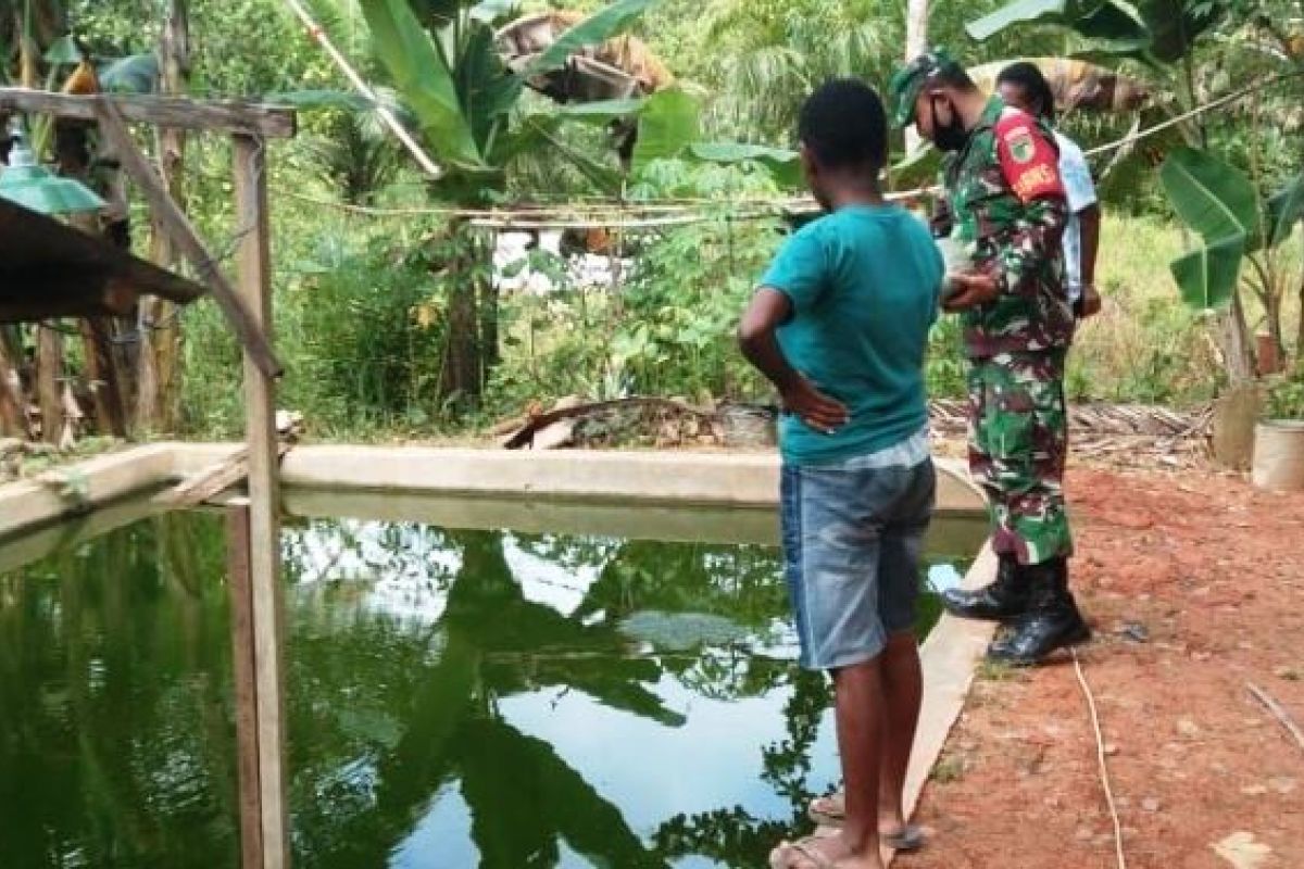 Babinsa Koramil Boven Digoel motivasi warga binaan beternak ikan