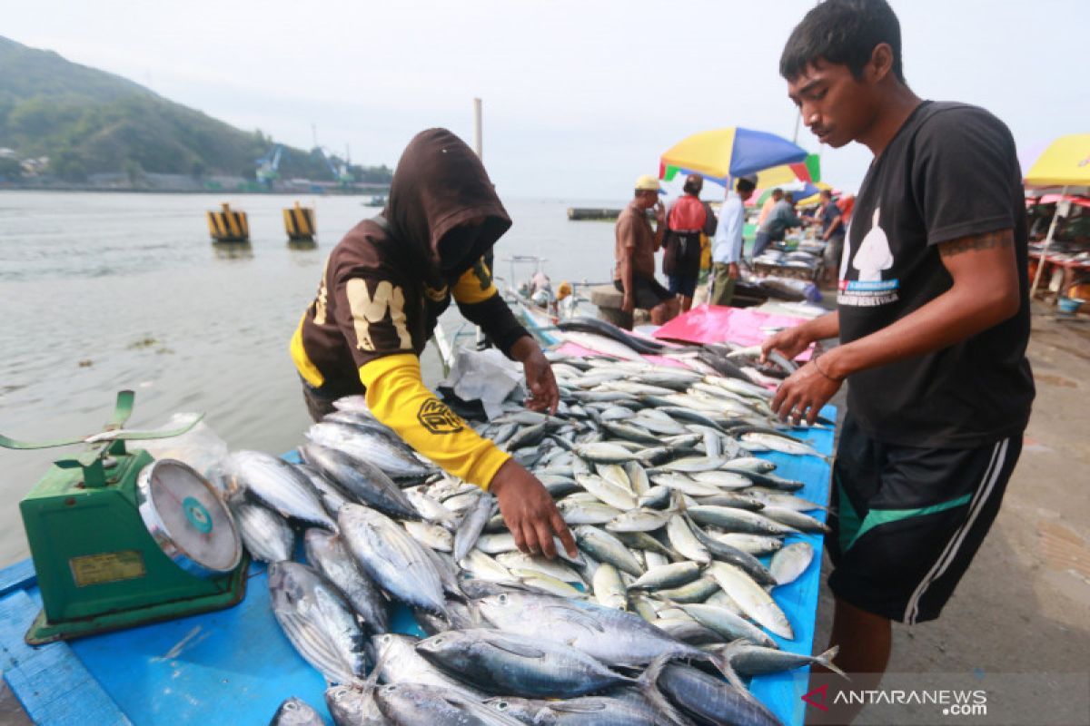 Harga ikan laut segar di Gorontalo masih tinggi