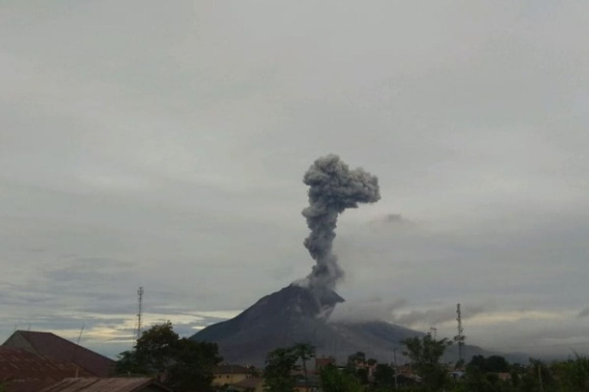 Erupsi Sinabung luncurkan abu vulkanik setinggi 2.000 meter