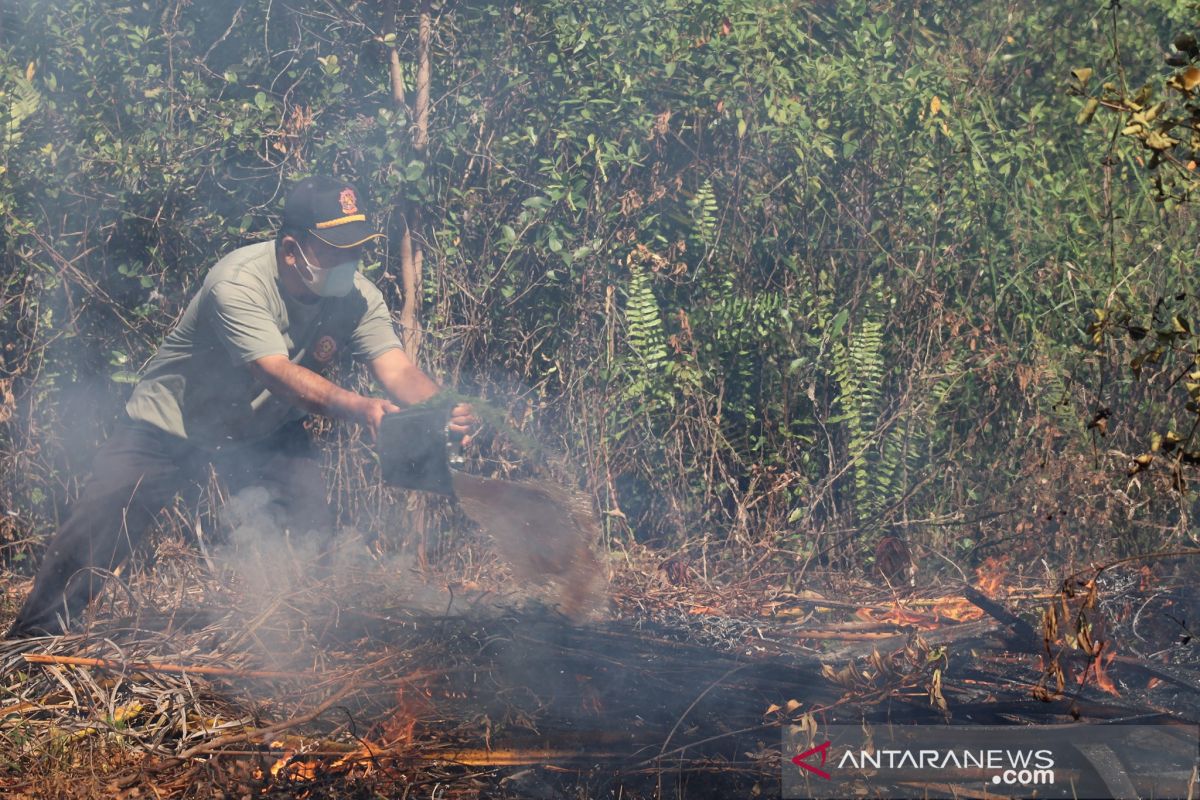 Antisipasi dan tanggulangi karhutla, Palangka Raya siapkan tujuh posko