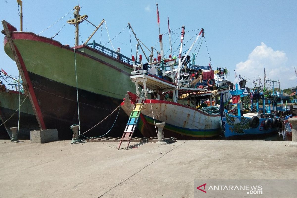 Cuaca cerah, lelang ikan di TPI Pekalongan bergairah