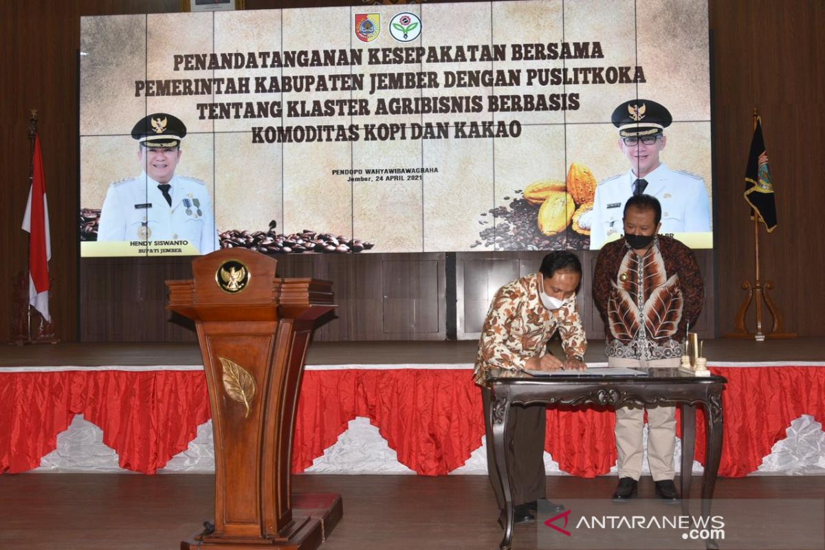 Pemkab Jember kembangkan klaster agribisnis berbasis kopi dan kakao