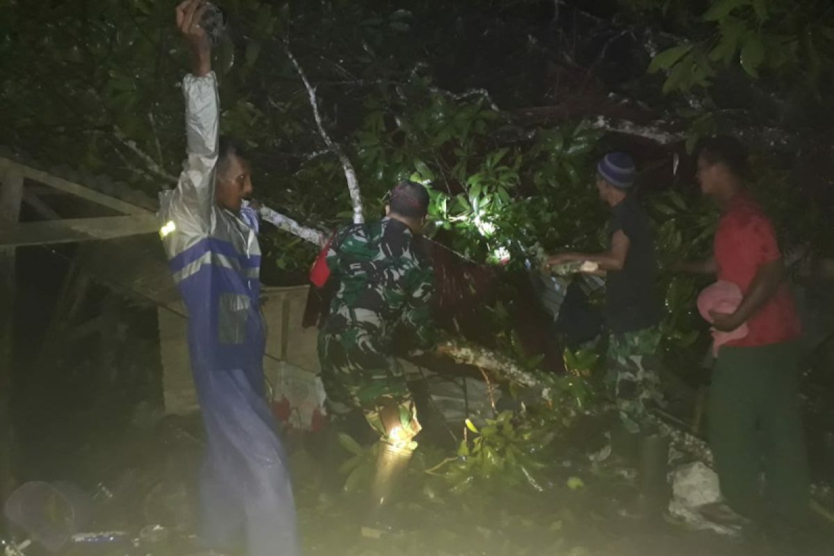 Tiga rumah di pesisir Aceh Tamiang roboh akibat angin kencang