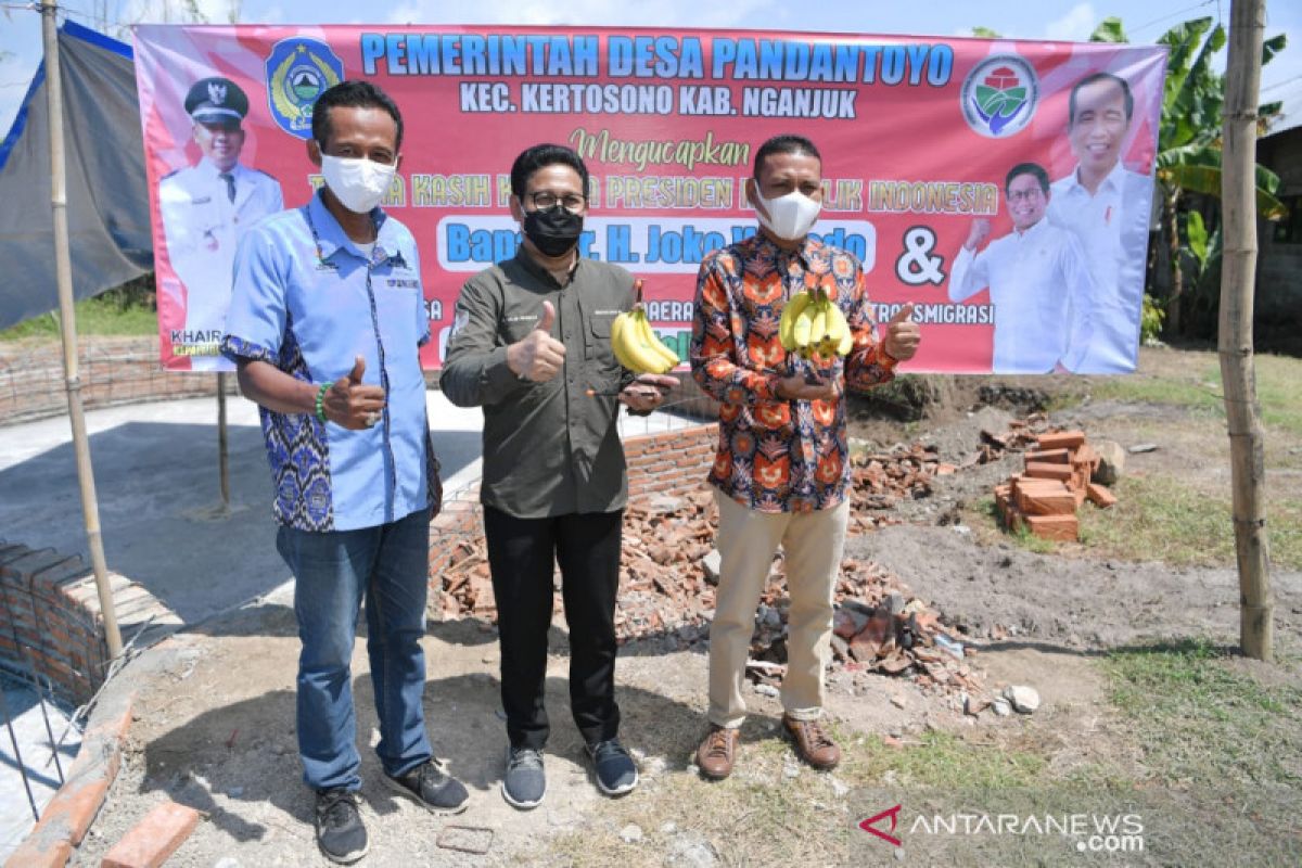 Pisang Cavendish BUMDes Desa Pandantoyo siap bersaing di supermarket