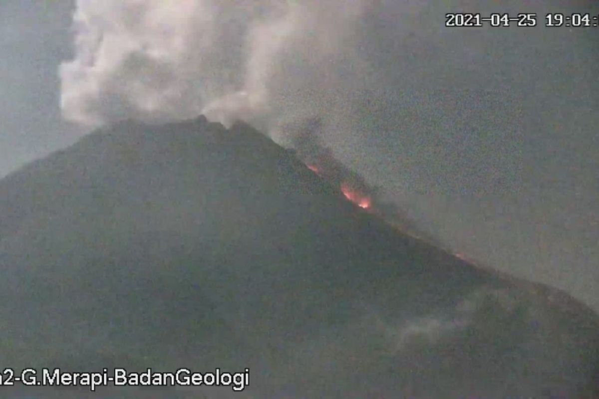 Status Siaga,  awan panas  guguran Gunung Merapi meluncur sejauh 1,5 km