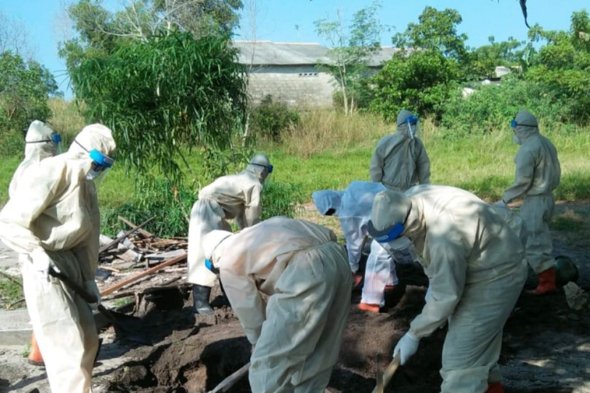 Pasien COVID-19 di Bangka meninggal dunia capai 40 orang