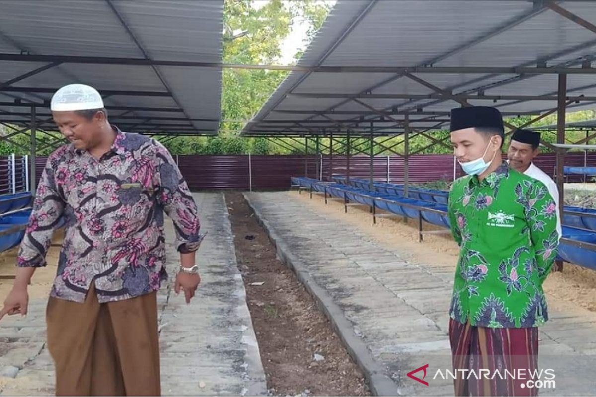 Pesantren di Pamekasan kembangkan usaha peternakan sapi