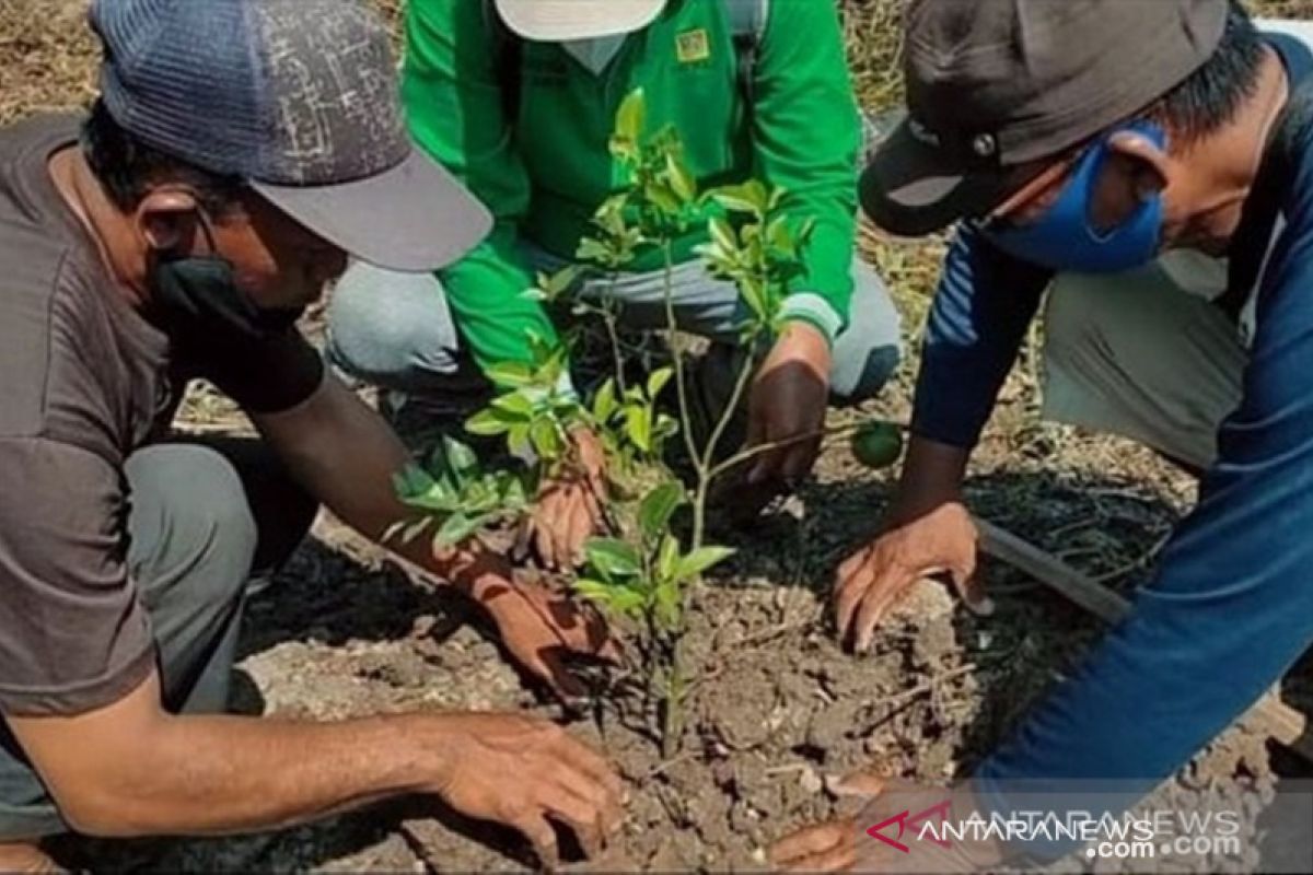 Pemkot harus hadir bersama komunitas bangun Kota Banjarmasin