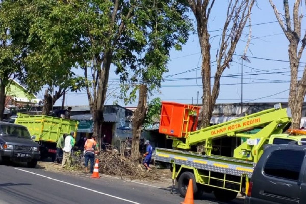 DLHKP Kediri pangkas pohon untuk keselamatan pengguna jalan raya