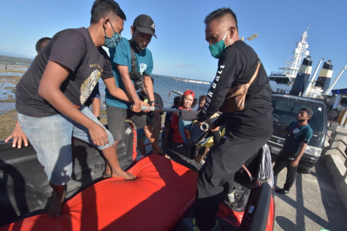 BKSDA Bali tutup peragaan lumba-lumba hidung botol di Pantai Sanur