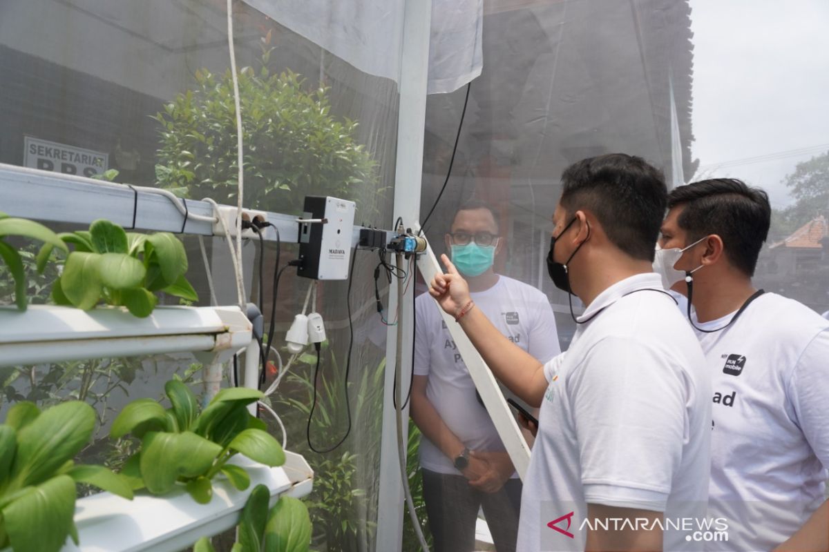 PLN Bali mudahkan pelaku Pertanian dengan program Electrifying Agriculture