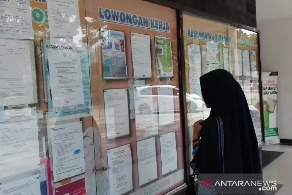 Pekanbaru buka 377 lowongan kerja PPPK