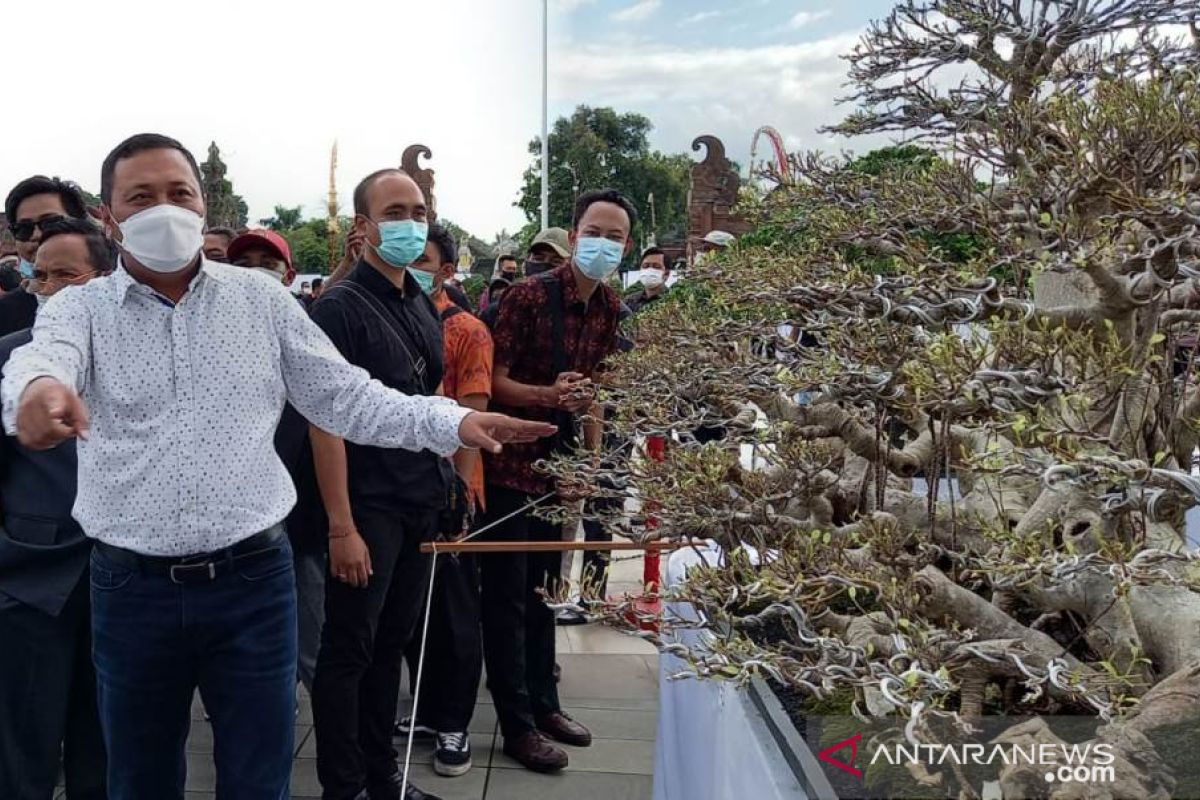 Bupati Gianyar buka pameran bonsai berskala nasional (22 April-2 Mei 2021)