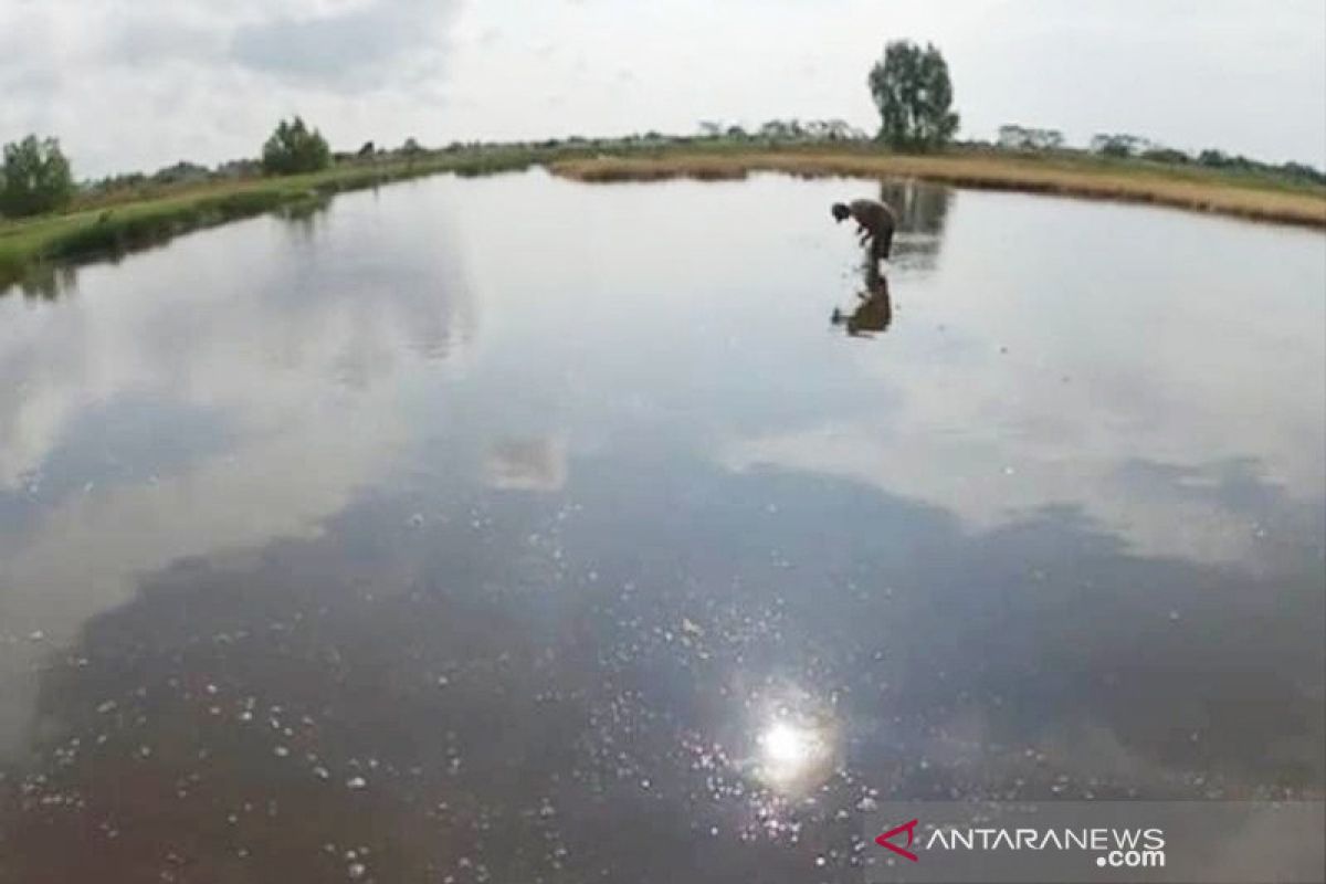 Nelayan tambak Pulang Pisau tolak pembuatan saluran limbah perusahaan sawit