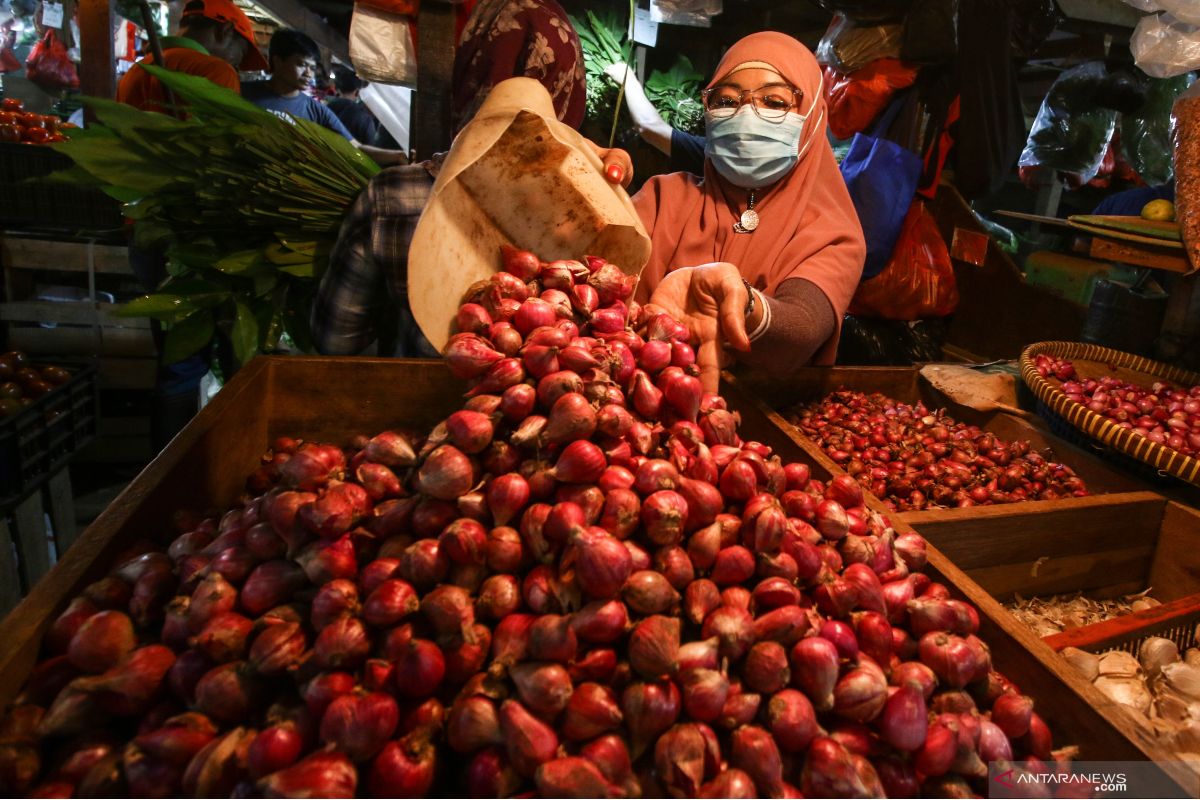 Harga bawang merah di Jakarta melesat jadi Rp44.386 per kg