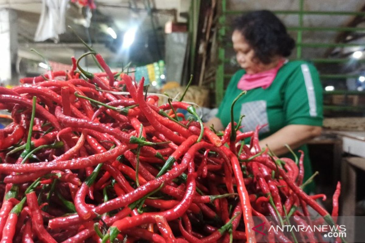 Harga cabai di Medan turun  akibat cuaca ekstrem