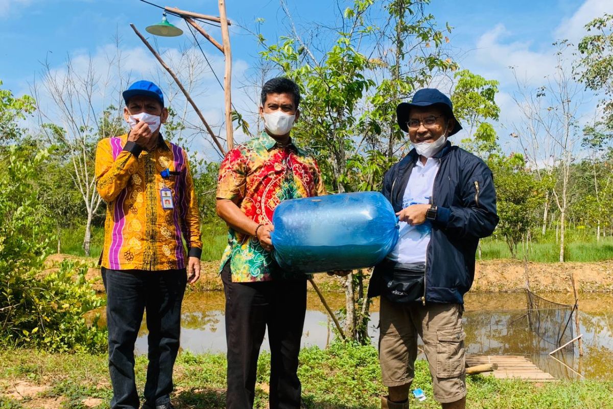 PWI Kabupaten Tabalong terima bantuan benih ikan