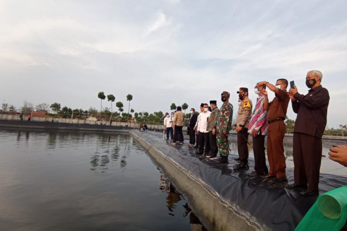 PTPN IX gandeng Foss Group kembangkan tambak udang Pemalang