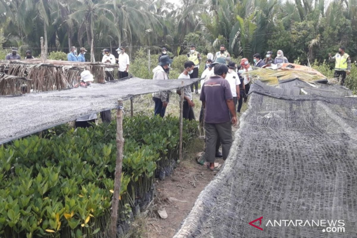 Pengunjung ekowisata Mangrove Park di Mempawah turun drastis selama pandemi