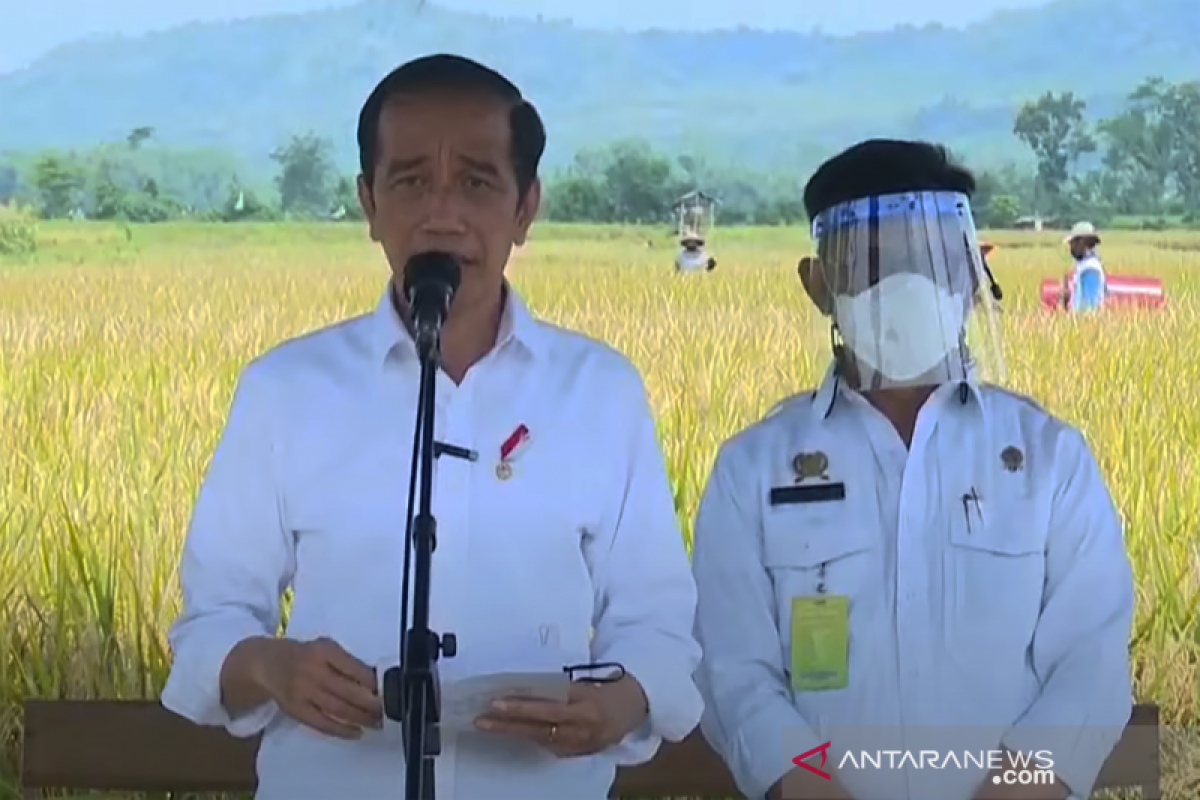 Presiden  pastikan produksi padi penuhi kebutuhan masyarakat