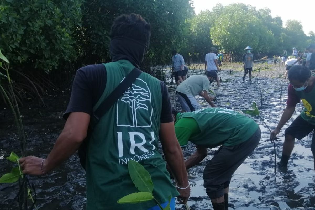 Ikhtiar membangun kembali eco-wisata mangrove di Bali