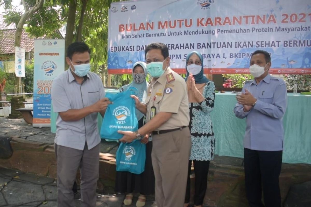 BKIPM Surabaya I sebut ikan baik untuk menjaga imunitas tubuh