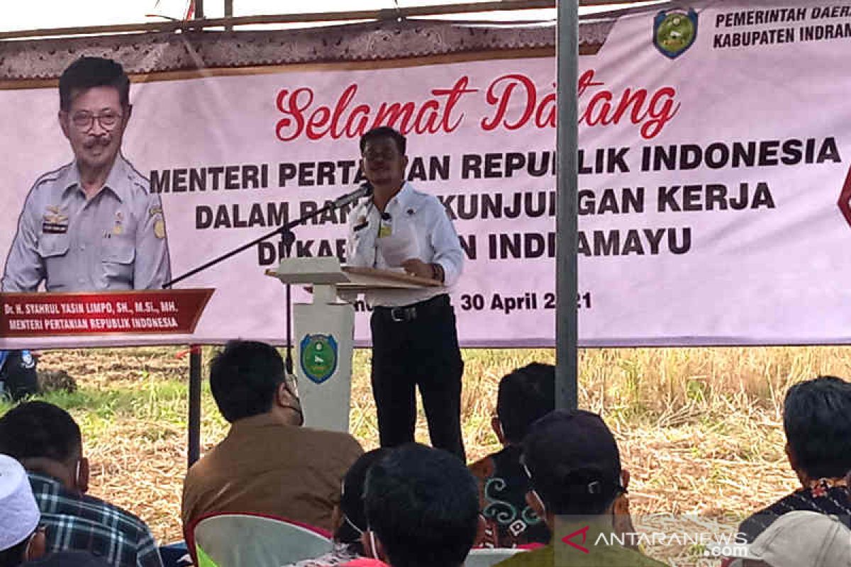 Dampak pandemi menurut Mentan terdapat tambahan delapan juta petani baru