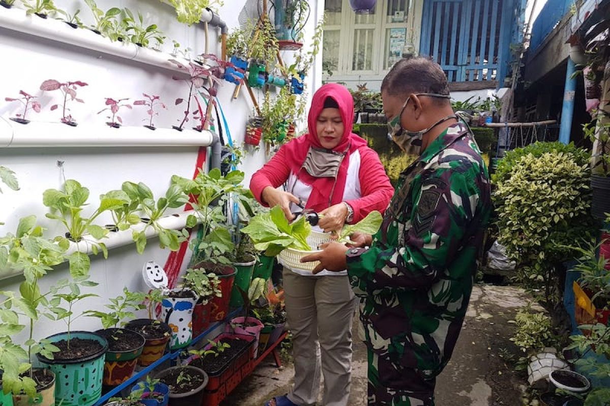 Marlinda, Srikandi BRI pencetus Kampung Sayur Palembang