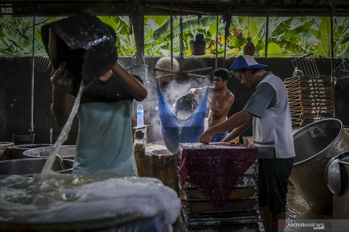 Pengamat: Pemerintah tetap pengendali di "holding" BUMN ultramikro