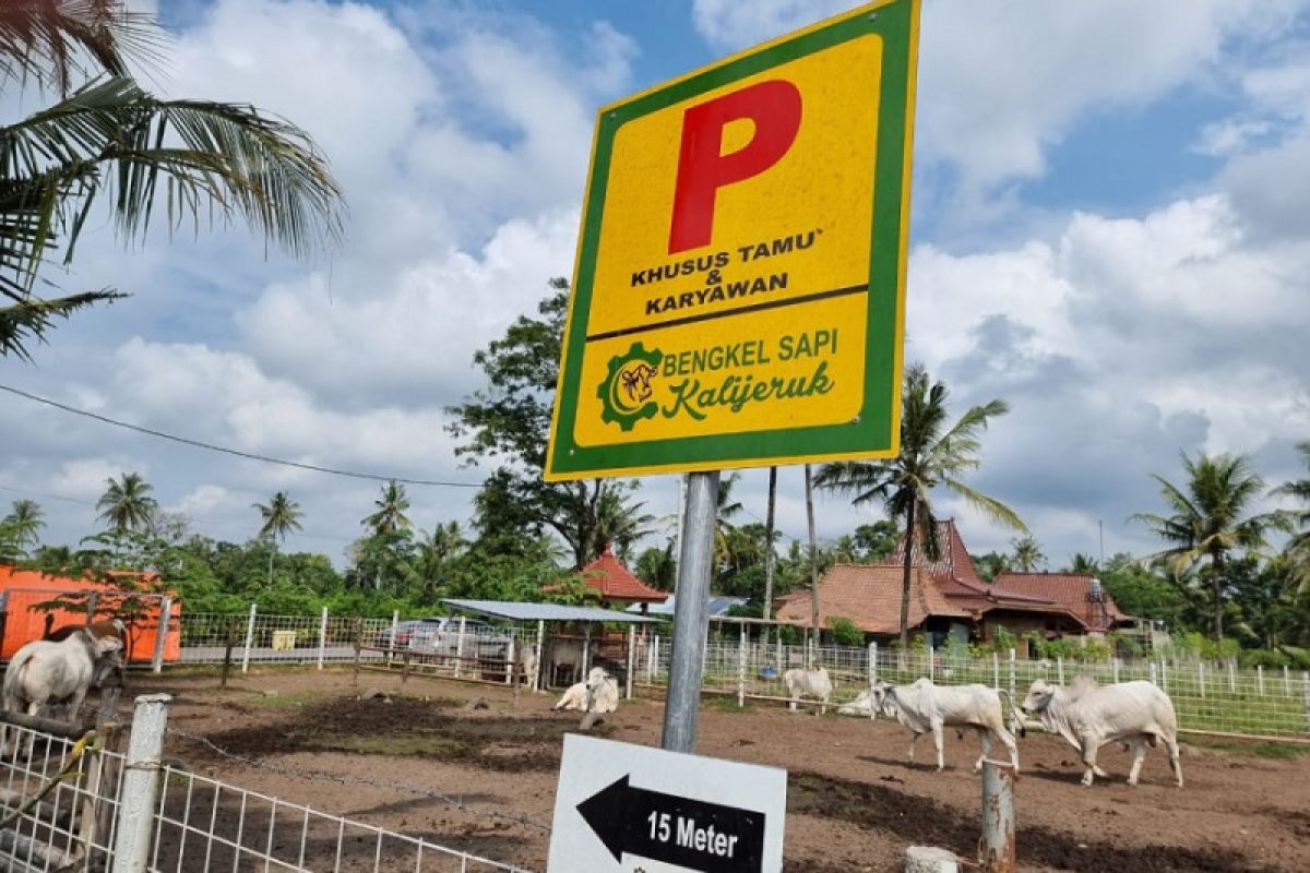 Bengkel Sapi Kalijeruk dinilai mampu dorong produksi ternak nasional