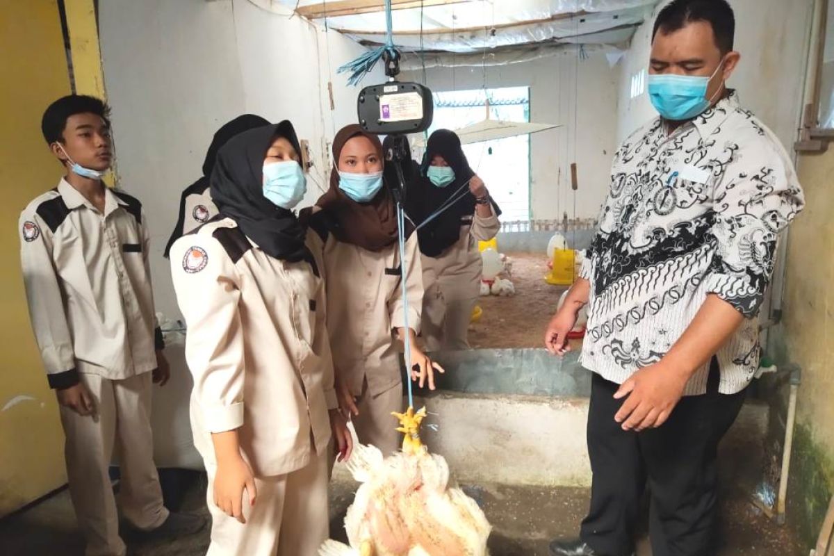 SMKN 3 Rejang Lebong kembangkan laboratorium agribisnis