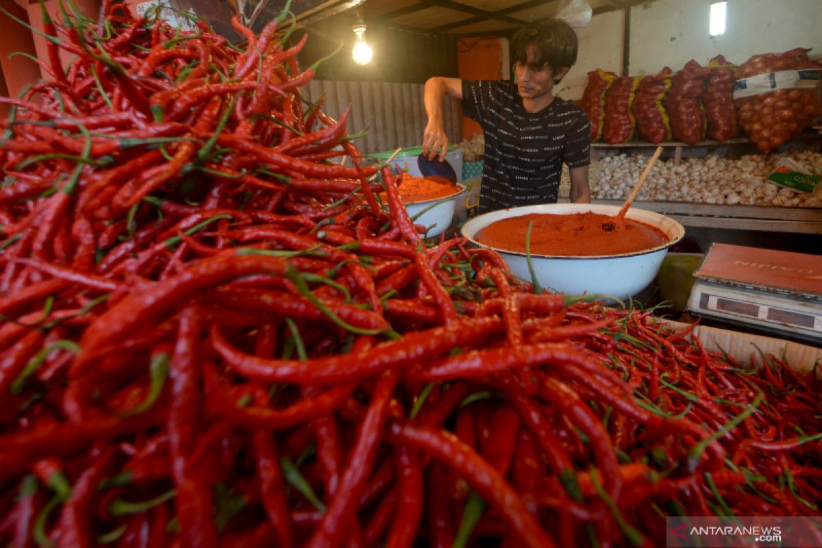 Peneliti: "Cold storage" solusi atasi fluktuasi harga cabai