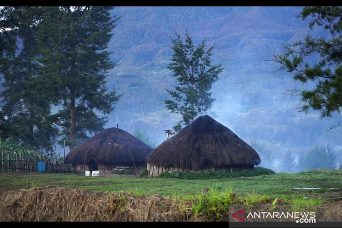 Warga Ilaga gelar ritual adat bakar honai perang suku