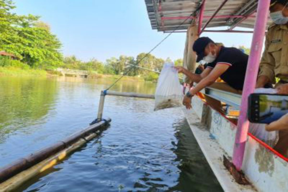 Pemkab Gunung Kidul mengintensifkan "restocking" ikan di perairan umum