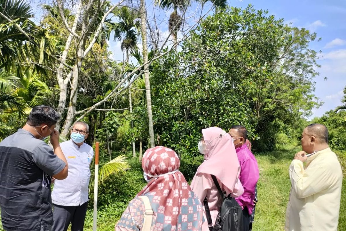 Pemko Padang segera bangun gedung sentra rendang