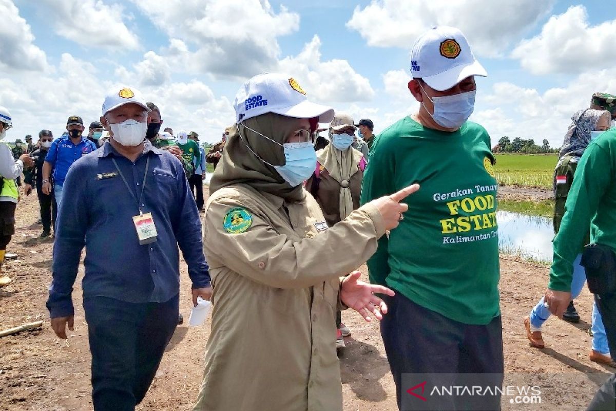 Sekjen Kementan RI sebut food estate Kalteng akan jadi contoh provinsi lain