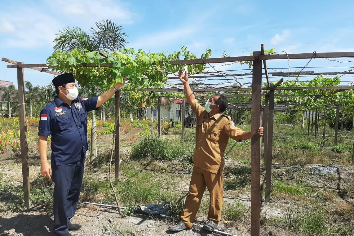 Batola Kalsel kembangkan 