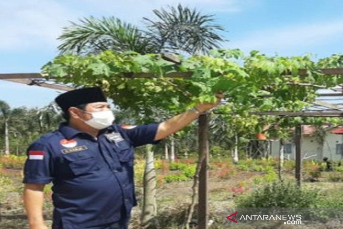 Pemerintah daerah ini kembangkan 