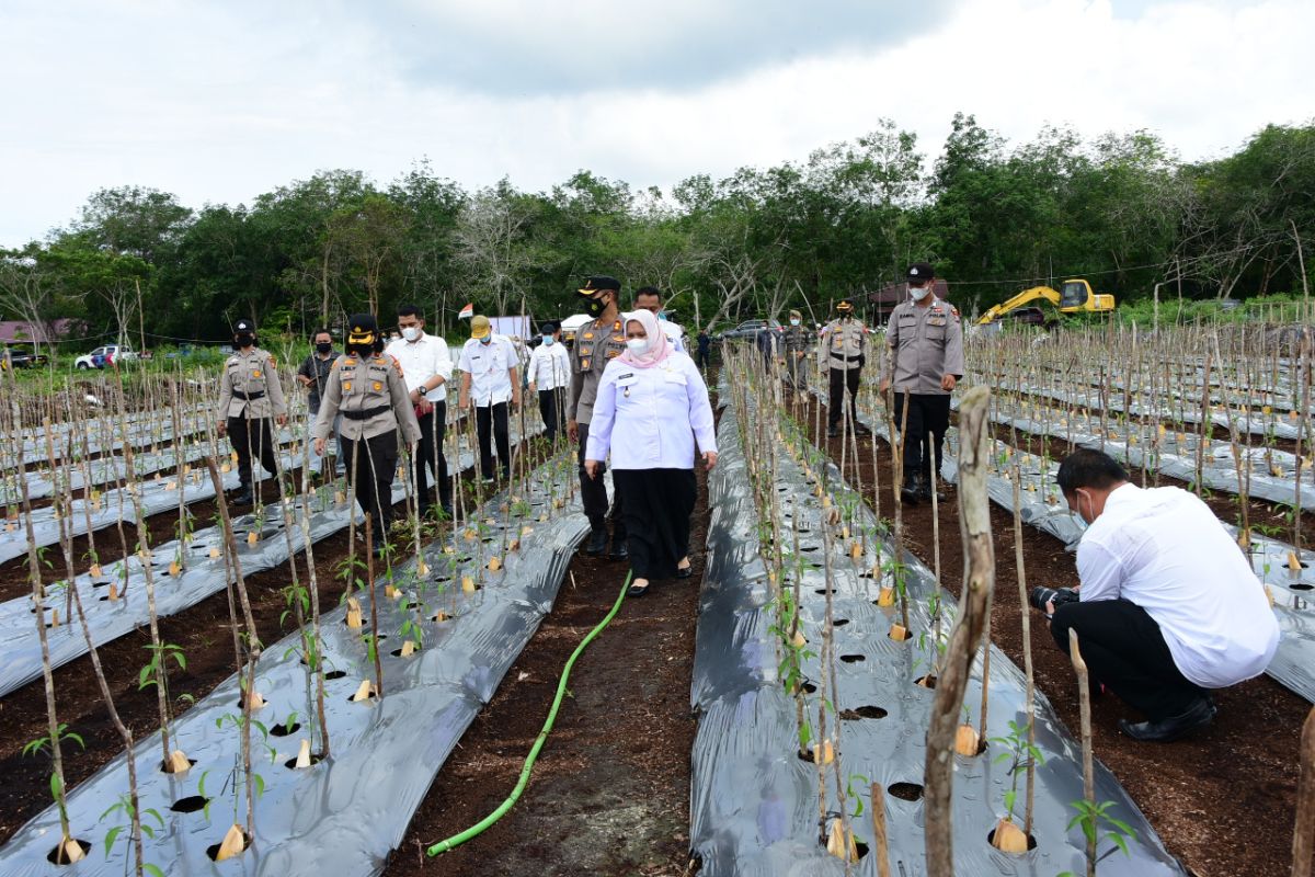 Bupati Bengkalis ajak masyarakat manfaatkan lahan di sekitar rumah