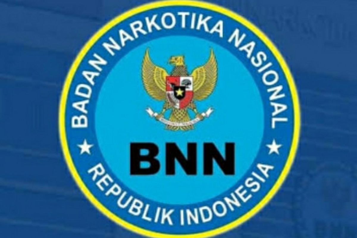 BNN latih 3.400 kader Pemuda anti Narkoba Kemenpora