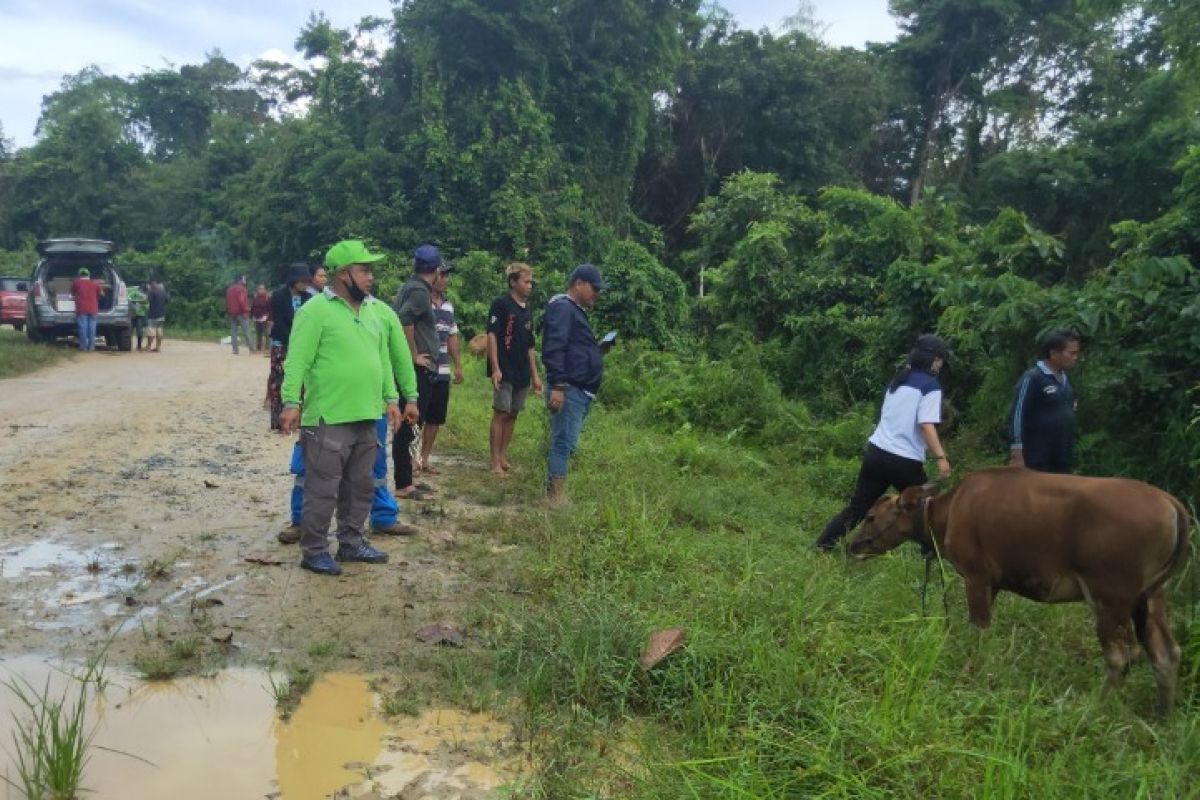 Pemerintah desa/kelurahan di Gumas diminta awasi bantuan ternak yang disalurkan