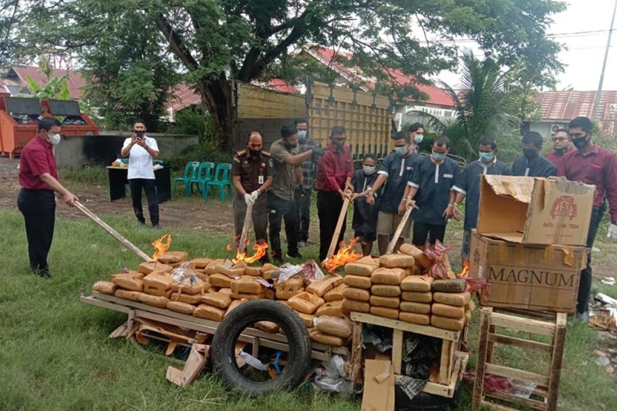 Polda Aceh musnahkan 194 kilogram ganja dari dua perkara