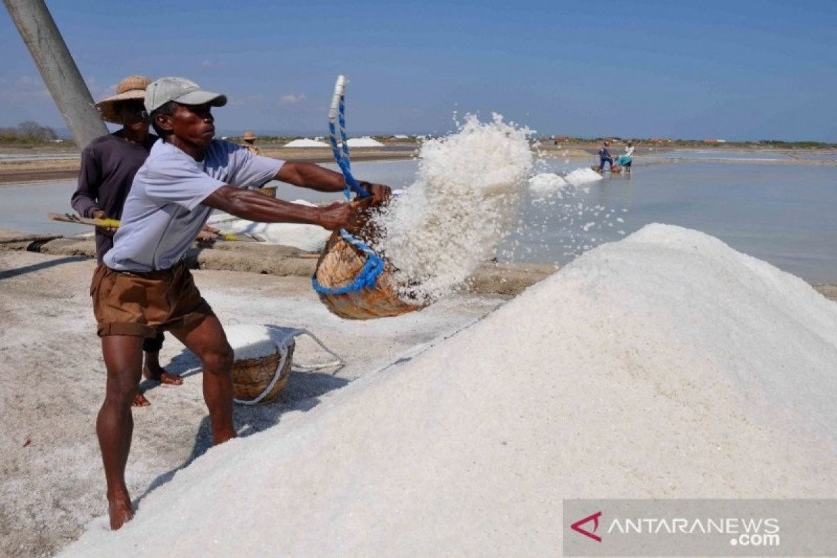 Pemerintah genjot pengembangan pabrik garam industri untuk kurangi impor