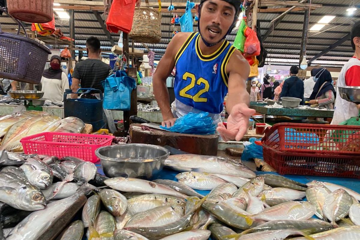 Tinggi permintaan ikan segar di  Tanjungpinang