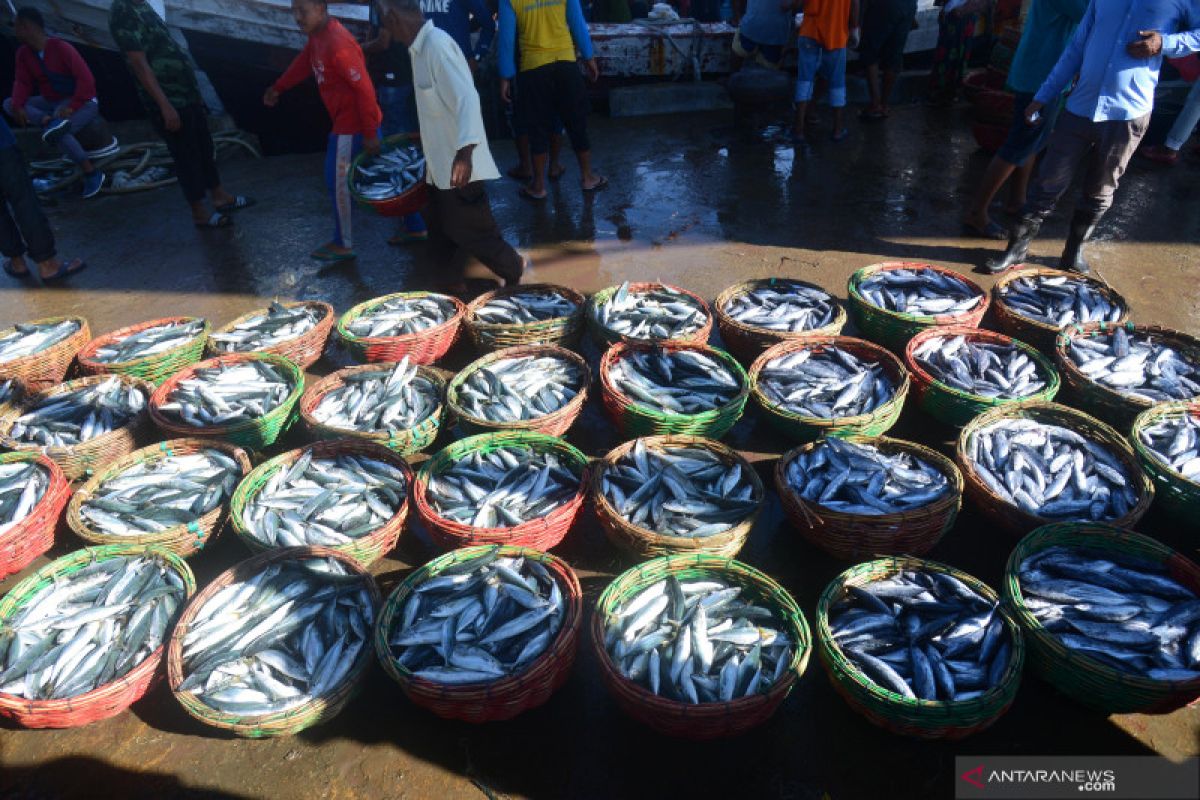 Legislator minta komoditas ikan harus murah dan selalu tersedia