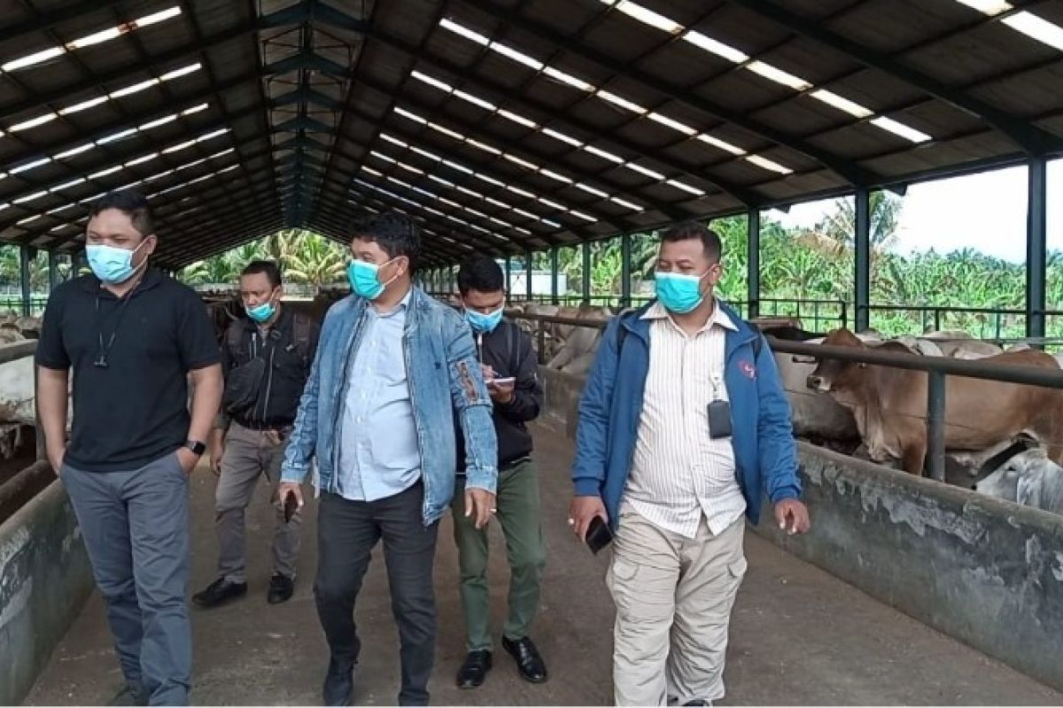 Jelang Lebaran 2021, Harga daging sapi segar mulai bergerak naik di Medan