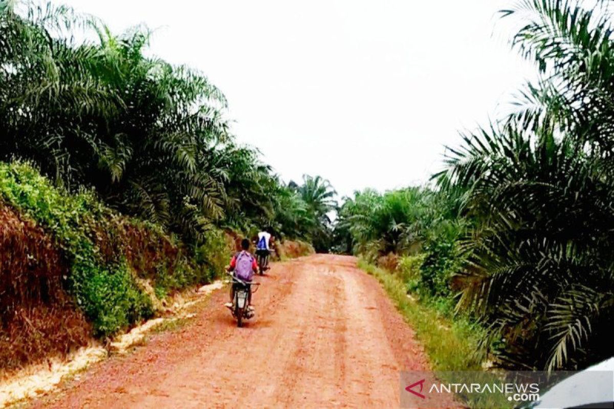 Perkebunan sawit di Kotim diminta atur jadwal pekerja turun ke kota