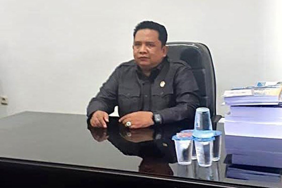 DPRD usulkan perda terkait permukiman di kawasan Bandara H Muhammad Sidik